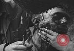 Image of American medics Normandy France, 1944, second 52 stock footage video 65675076254