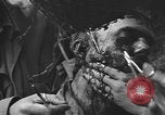Image of American medics Normandy France, 1944, second 53 stock footage video 65675076254