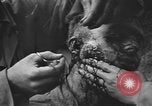 Image of American medics Normandy France, 1944, second 54 stock footage video 65675076254