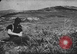 Immagine di I soldati tedeschi Nettuno Italia, 1944, secondo 5 filmato di repertorio 65675076263
