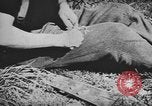 Immagine di I soldati tedeschi Nettuno Italia, 1944, secondo 7 filmato di repertorio 65675076263