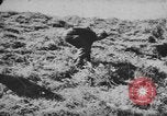 Immagine di I soldati tedeschi Nettuno Italia, 1944, secondo 12 filmato di repertorio 65675076263