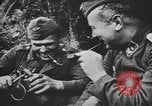 Immagine di I soldati tedeschi Nettuno Italia, 1944, secondo 42 filmato di repertorio 65675076263