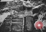 Immagine di I soldati tedeschi Nettuno Italia, 1944, secondo 46 filmato di repertorio 65675076263
