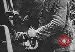 Immagine di I soldati tedeschi Nettuno Italia, 1944, secondo 60 filmato di repertorio 65675076263