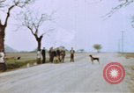 Standbild US Panzer Feuern in Gebäude Deutschland, 1945, aus Sekunde 6 historischem Filmmaterial Videoclip 65675076294