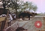Standbild US Panzer Feuern in Gebäude Deutschland, 1945, aus Sekunde 21 historischem Filmmaterial Videoclip 65675076294