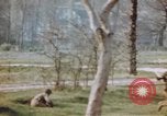Standbild US Panzer Feuern in Gebäude Deutschland, 1945, aus Sekunde 40 historischem Filmmaterial Videoclip 65675076294