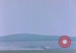 Standbild US P-47 Flugzeuge Deutschland, 1945, aus Sekunde 37 historischem Filmmaterial Videoclip 65675076296
