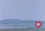 Standbild US P-47 Flugzeuge Deutschland, 1945, aus Sekunde 38 historischem Filmmaterial Videoclip 65675076296
