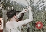 Standbild USA airmen Deutschland, 1945, aus Sekunde 44 historischem Filmmaterial Videoclip 65675076301
