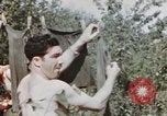 Standbild USA airmen Deutschland, 1945, aus Sekunde 45 historischem Filmmaterial Videoclip 65675076301