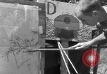 Standbild 1st Marine Division Korea, 1951, aus Sekunde 41 historischem Filmmaterial Videoclip 65675076303
