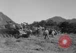 Standbild 1st Marine Division Korea, 1951, aus Sekunde 48 historischem Filmmaterial Videoclip 65675076304