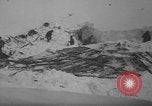 Immagine di Danni causati da caduta di neve Bingham Utah USA, 1939, secondo 11 filmato di repertorio 65675076316