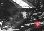 Standbild Schäden durch Schnee schieben Mount Baker Washington USA, 1939, aus Sekunde 9 historischem Filmmaterial Videoclip 65675076322