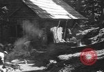 Standbild Schäden durch Schnee schieben Mount Baker Washington USA, 1939, aus Sekunde 10 historischem Filmmaterial Videoclip 65675076322