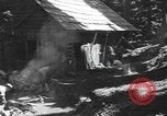 Standbild Schäden durch Schnee schieben Mount Baker Washington USA, 1939, aus Sekunde 11 historischem Filmmaterial Videoclip 65675076322