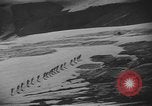 Standbild Schäden durch Schnee schieben Mount Baker Washington USA, 1939, aus Sekunde 13 historischem Filmmaterial Videoclip 65675076322