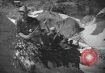 Standbild Schäden durch Schnee schieben Mount Baker Washington USA, 1939, aus Sekunde 18 historischem Filmmaterial Videoclip 65675076322