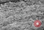 Standbild Schäden durch Schnee schieben Mount Baker Washington USA, 1939, aus Sekunde 33 historischem Filmmaterial Videoclip 65675076322