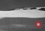 Standbild Schäden durch Schnee schieben Mount Baker Washington USA, 1939, aus Sekunde 51 historischem Filmmaterial Videoclip 65675076322