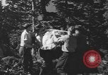 Standbild Schäden durch Schnee schieben Mount Baker Washington USA, 1939, aus Sekunde 62 historischem Filmmaterial Videoclip 65675076322