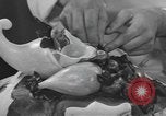 Standbild internationale Chef's Food Show New York United States USA, 1939, aus Sekunde 25 historischem Filmmaterial Videoclip 65675076325