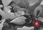 Standbild internationale Chef's Food Show New York United States USA, 1939, aus Sekunde 27 historischem Filmmaterial Videoclip 65675076325