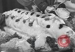 Standbild internationale Chef's Food Show New York United States USA, 1939, aus Sekunde 37 historischem Filmmaterial Videoclip 65675076325