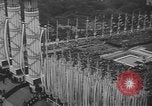 Standbild Tag der Bastille Paris Frankreich, 1939, aus Sekunde 20 historischem Filmmaterial Videoclip 65675076327