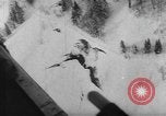 Standbild Schäden durch Lawinen Österreich, 1954, aus Sekunde 23 historischem Filmmaterial Videoclip 65675076328