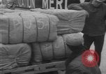 Image of American mercy ship California United States USA, 1954, second 5 stock footage video 65675076331