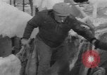 Image of American trawlers covered with ice Boston Massachusetts USA, 1954, second 12 stock footage video 65675076332