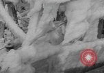 Image of American trawlers covered with ice Boston Massachusetts USA, 1954, second 15 stock footage video 65675076332