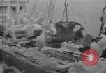 Image of American trawlers covered with ice Boston Massachusetts USA, 1954, second 21 stock footage video 65675076332