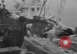 Image of American trawlers covered with ice Boston Massachusetts USA, 1954, second 22 stock footage video 65675076332