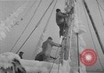 Image of American trawlers covered with ice Boston Massachusetts USA, 1954, second 27 stock footage video 65675076332
