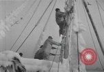 Image of American trawlers covered with ice Boston Massachusetts USA, 1954, second 28 stock footage video 65675076332