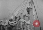 Image of American trawlers covered with ice Boston Massachusetts USA, 1954, second 30 stock footage video 65675076332