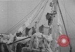 Image of American trawlers covered with ice Boston Massachusetts USA, 1954, second 32 stock footage video 65675076332