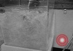 Image of Golden Jubilee Motor Boat Show New York United States USA, 1954, second 45 stock footage video 65675076334