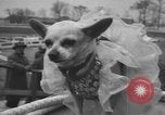 Standbild Pennsylvanian Kinder Allentown Pennsylvania USA, 1957, aus Sekunde 18 historischem Filmmaterial Videoclip 65675076337
