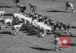 Image match de football Atlanta Georgia USA, 1957, de la seconde 33 séquences d'archives historiques vidéo 65675076342