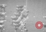 Standbild Fußballspiel South Bend Indiana USA, 1957, aus Sekunde 3 historischem Filmmaterial Videoclip 65675076343