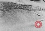 Image of avalanches United States USA, 1943, second 57 stock footage video 65675076345