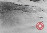 Image of avalanches United States USA, 1943, second 58 stock footage video 65675076345