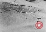 Image of avalanches United States USA, 1943, second 59 stock footage video 65675076345