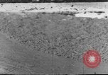 Image of avalanches United States USA, 1943, second 1 stock footage video 65675076346