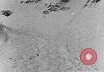 Image of avalanches United States USA, 1943, second 8 stock footage video 65675076346